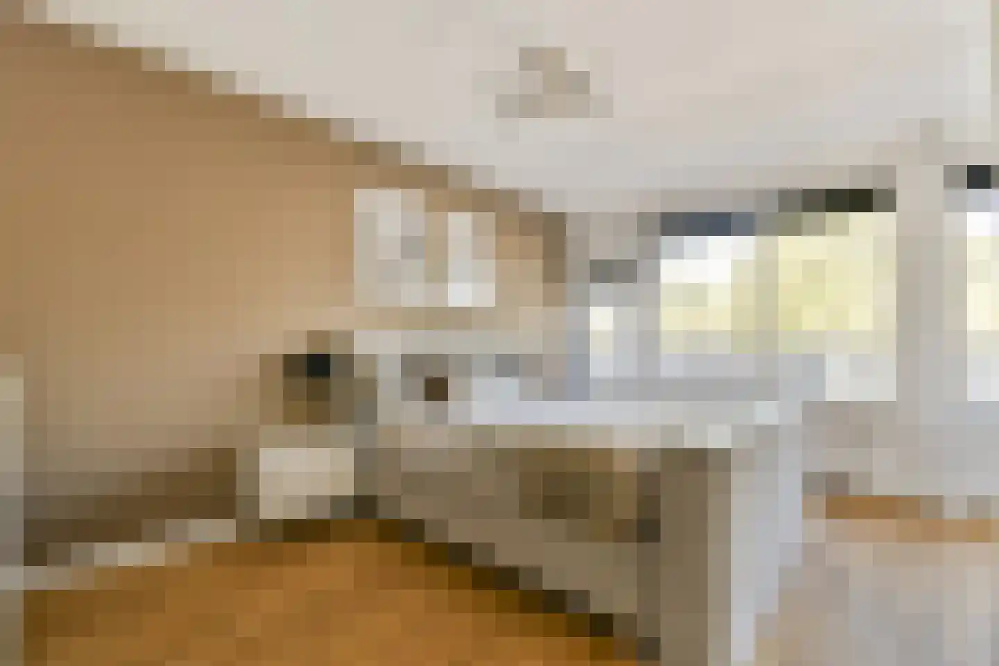 Bankrashof 90 Amstelveen thumbnail 10