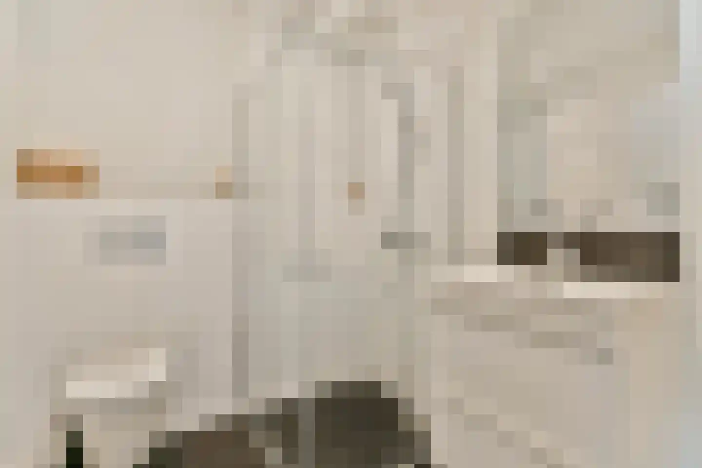 Bankrashof 90 Amstelveen thumbnail 15