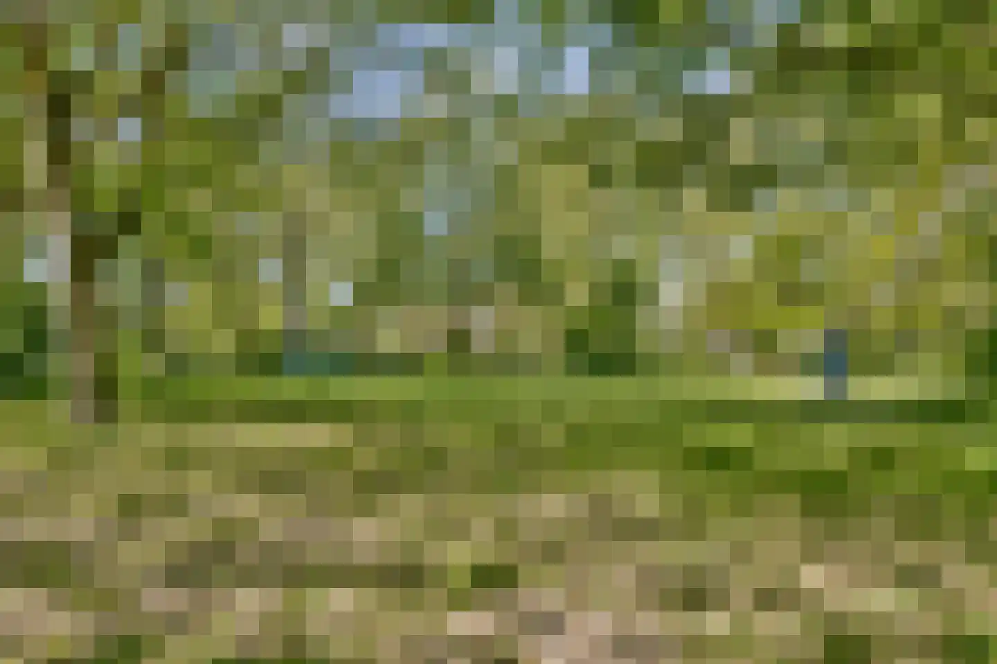 Bankrashof 90 Amstelveen thumbnail 25