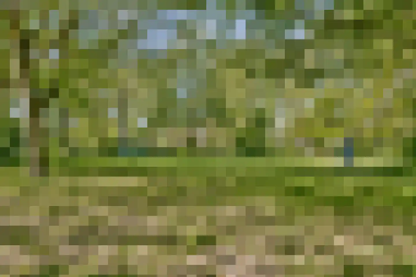 Bankrashof 90 Amstelveen thumbnail 26