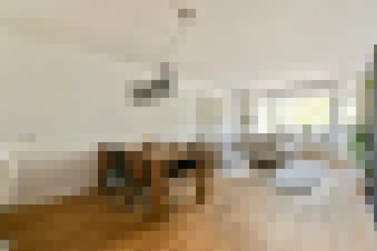 Bankrashof 90 Amstelveen thumbnail 5