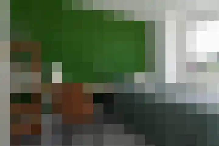 Bankraspad 14 Amstelveen thumbnail 35