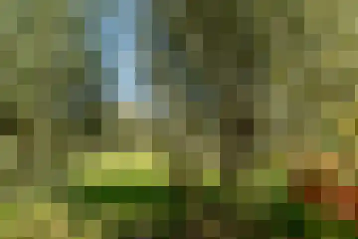 Bankraspad 14 Amstelveen thumbnail 40