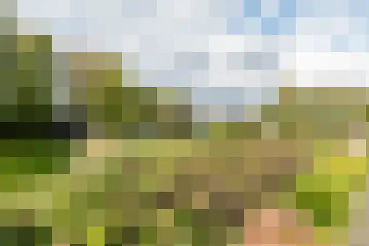 Bankraspad 14 Amstelveen thumbnail 41