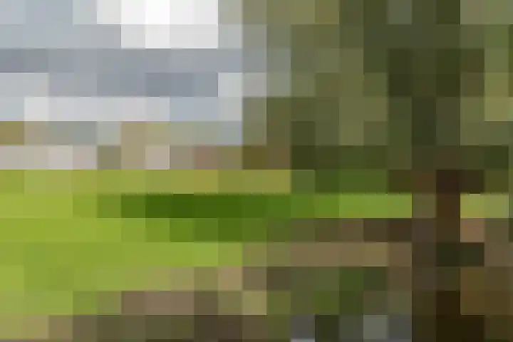 Bankraspad 14 Amstelveen thumbnail 44