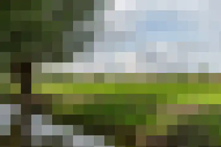 Bankraspad 14 Amstelveen thumbnail 47
