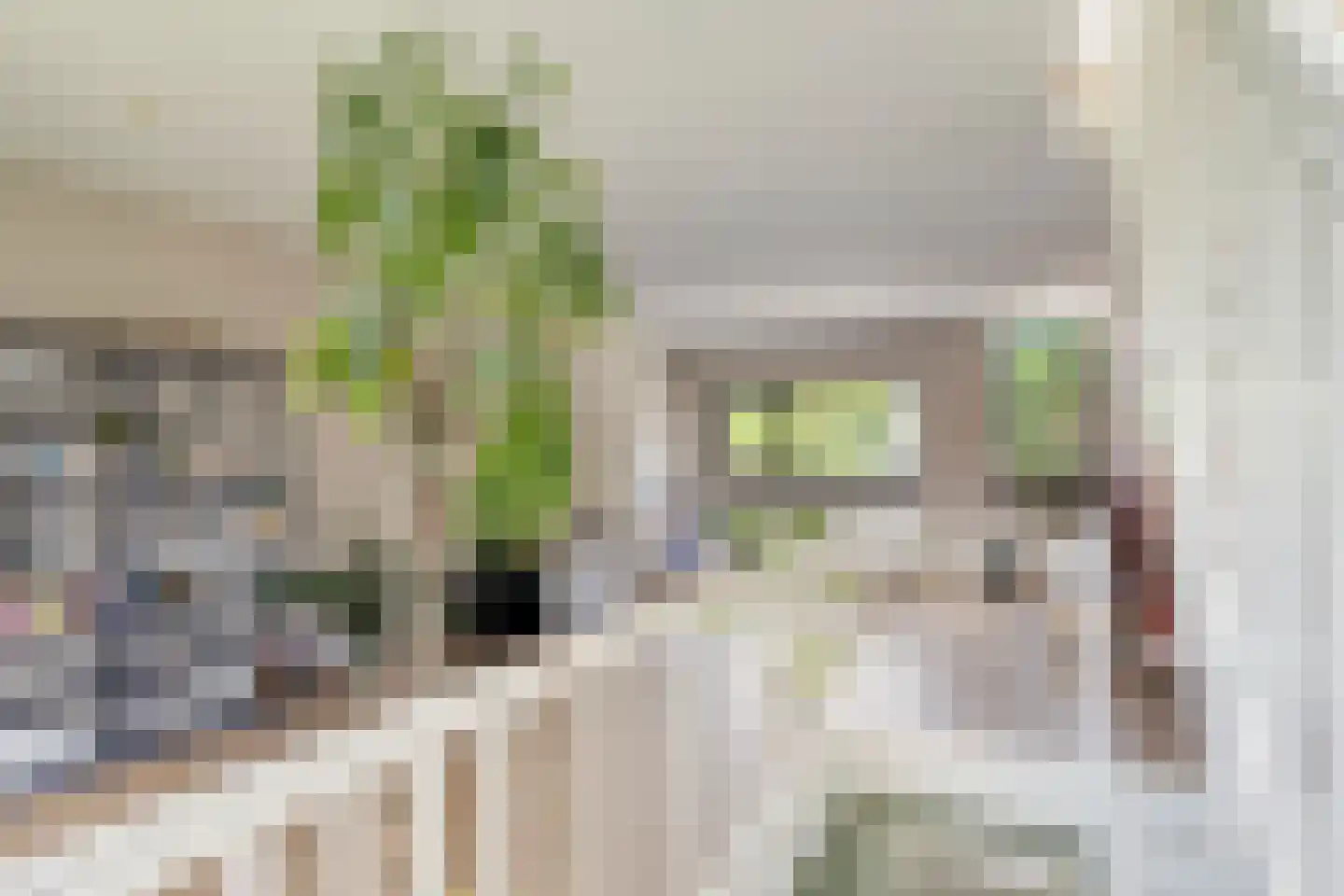 Bankraspad 20 Amstelveen thumbnail 23
