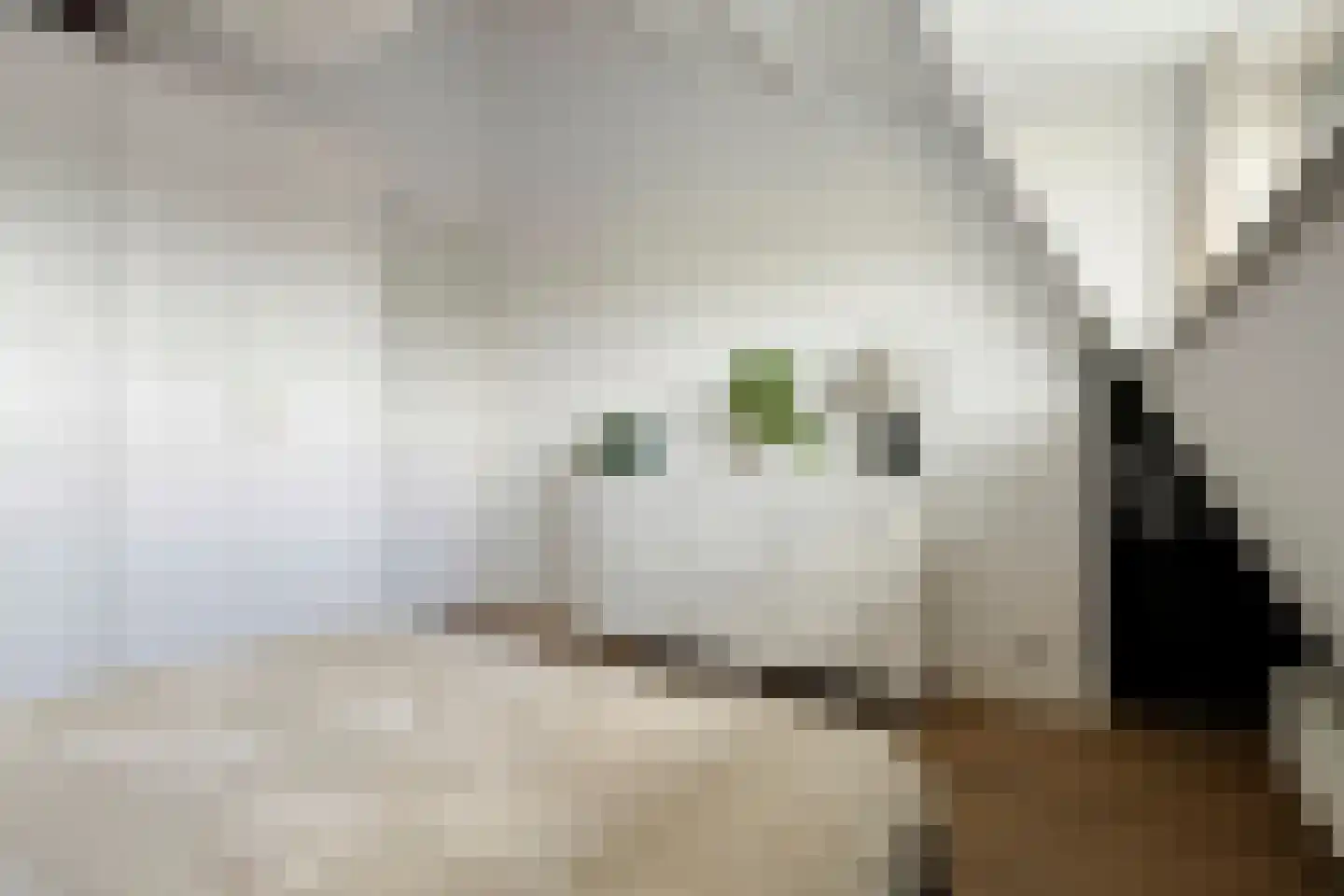 Bankraspad 20 Amstelveen thumbnail 26