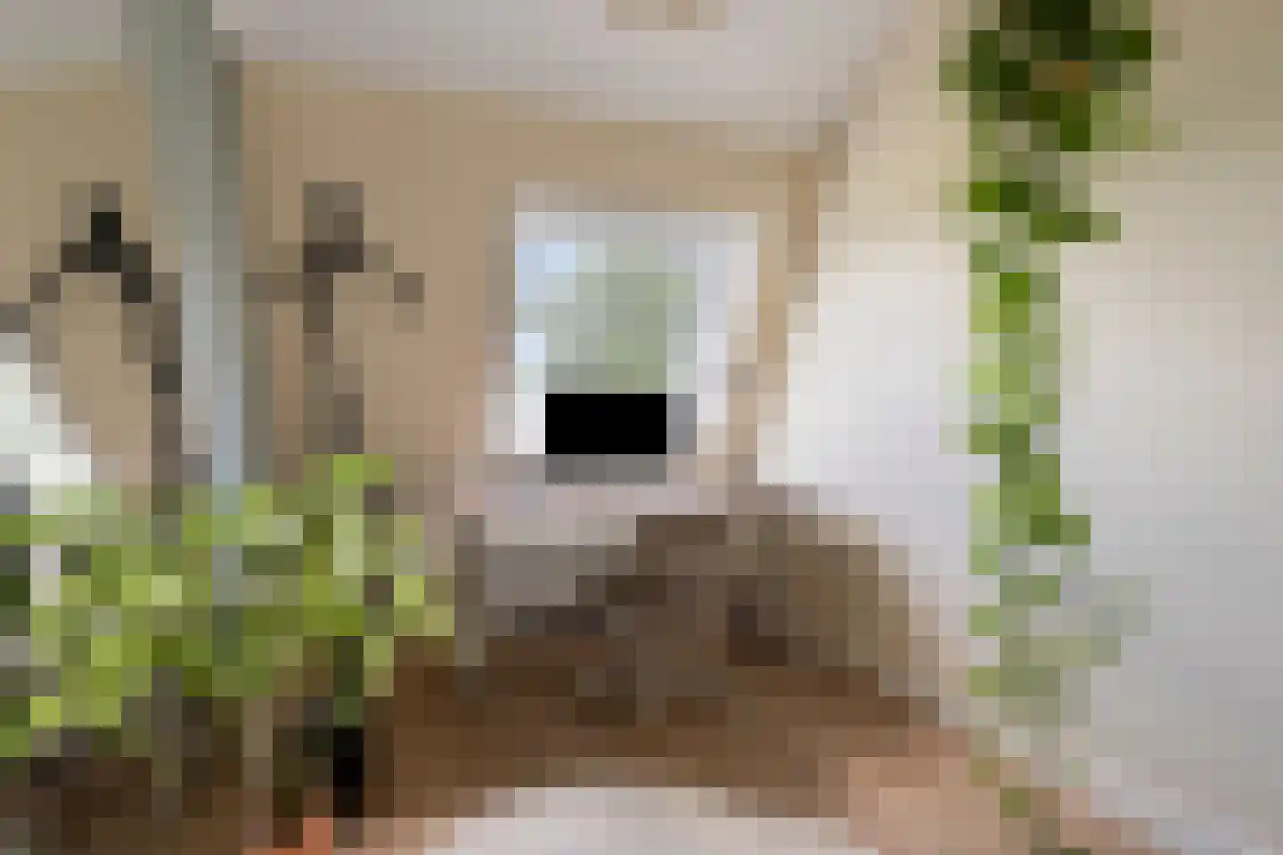 Bankraspad 20 Amstelveen thumbnail 32