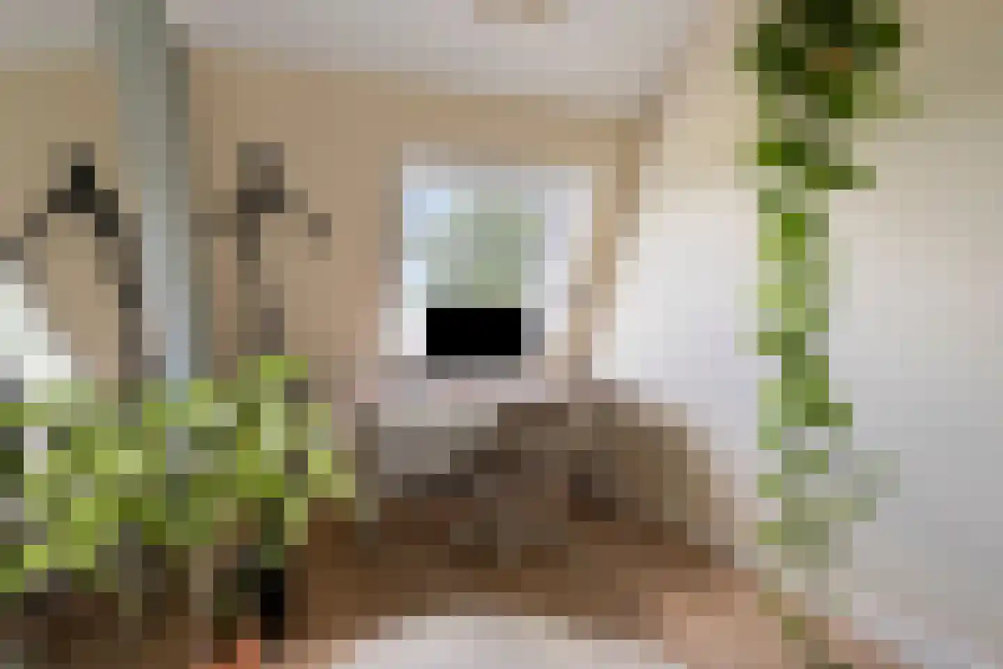 Bankraspad 20 Amstelveen thumbnail 32