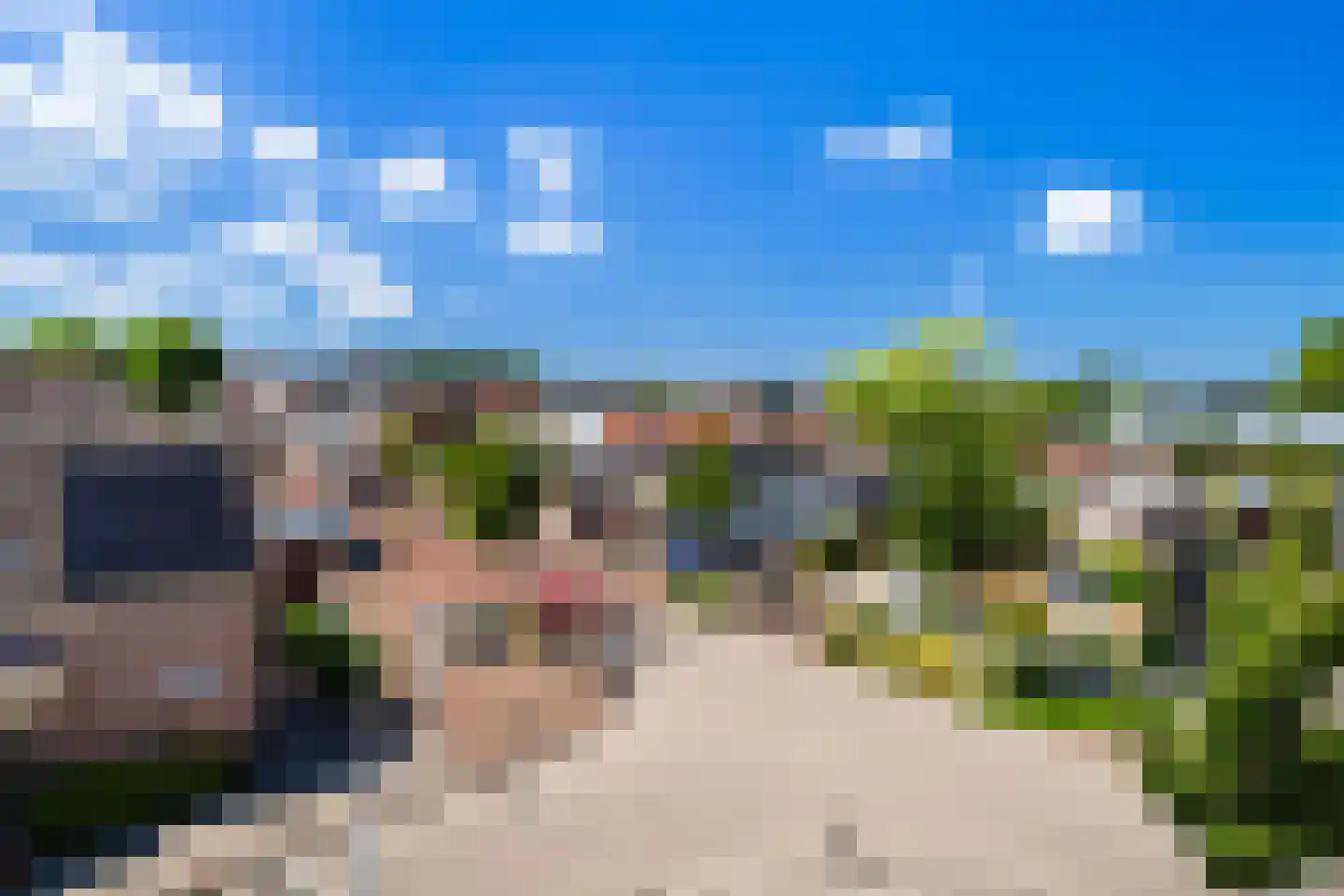 Bankstate 17 Stolwijk thumbnail 10
