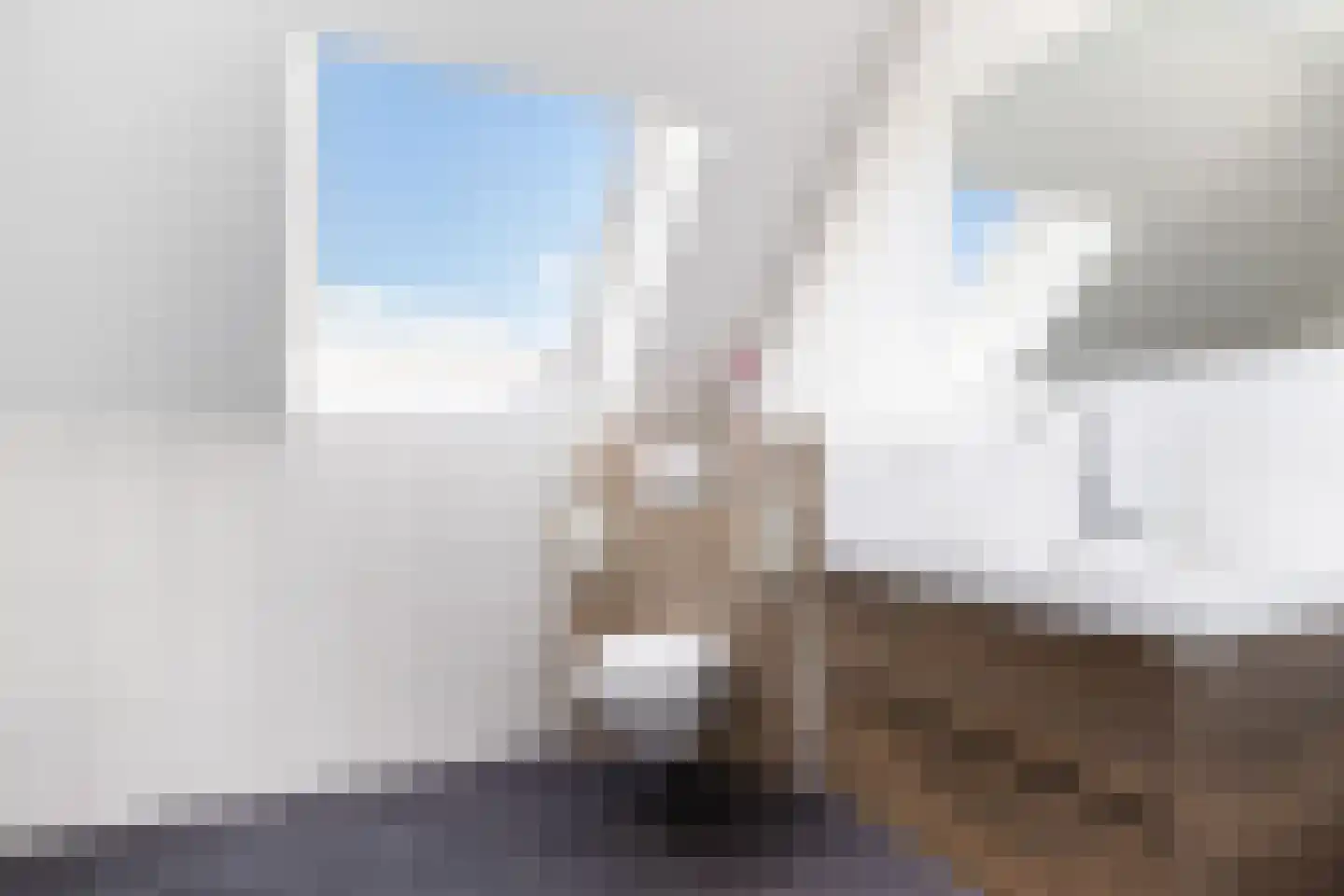 Bankstate 17 Stolwijk thumbnail 23
