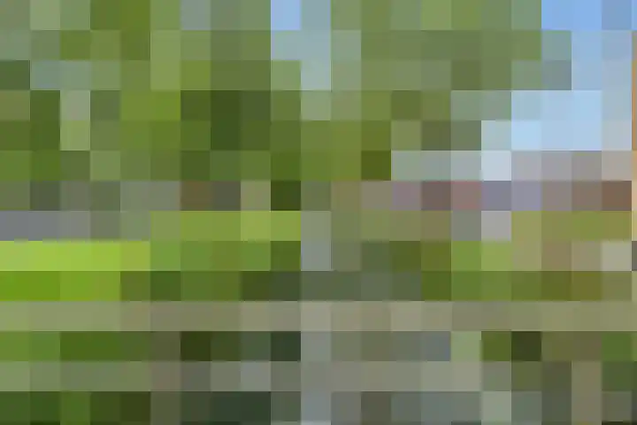 Bankstede 11 Nieuwegein thumbnail 20
