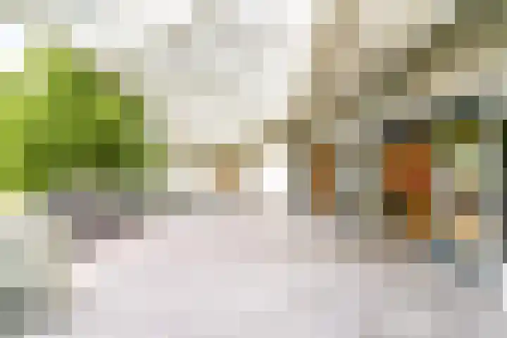 Bankstede 11 Nieuwegein thumbnail 21