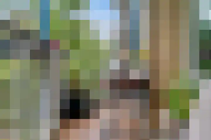 Bankstede 30 Nieuwegein thumbnail 17