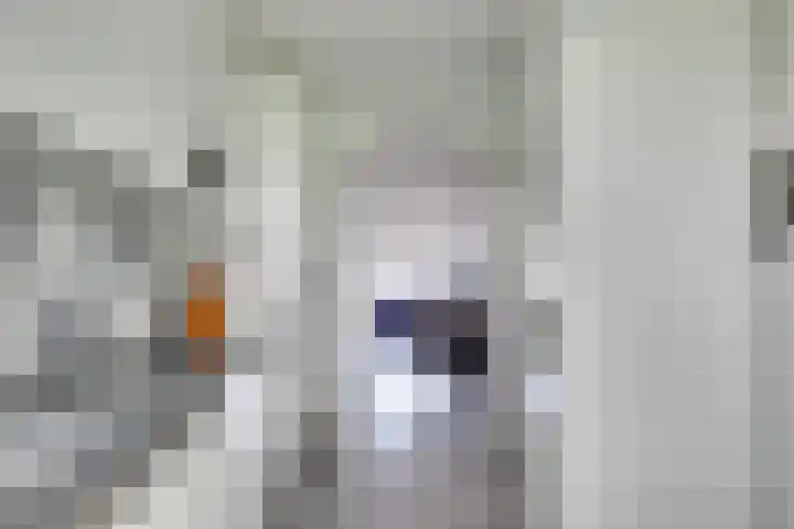 Bankstede 44 Nieuwegein thumbnail 12