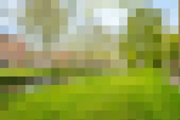 Bankstede 44 Nieuwegein thumbnail 29