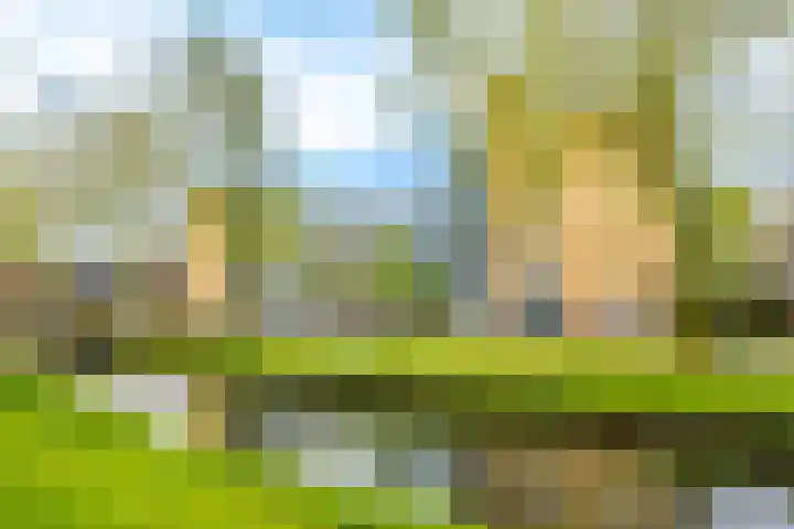 Bankstede 44 Nieuwegein thumbnail 30