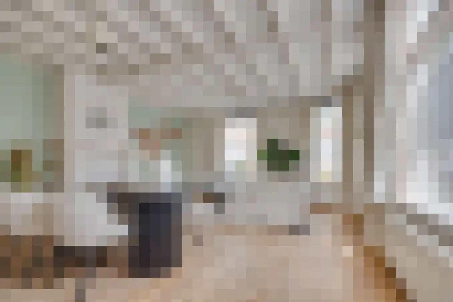Bankstraat 23 Utrecht thumbnail 4