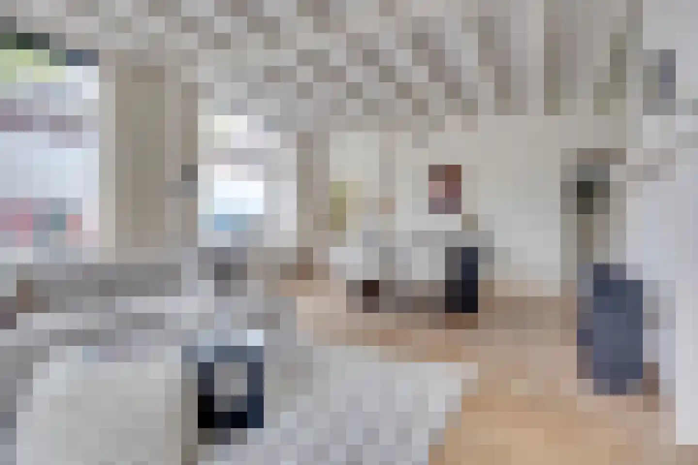 Bankstraat 23 Utrecht thumbnail 6