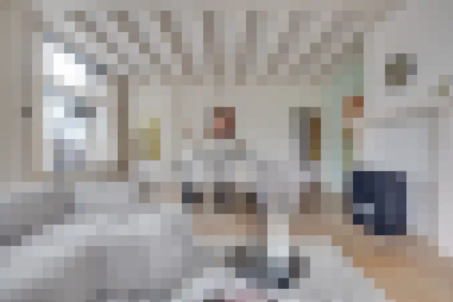 Bankstraat 23 Utrecht thumbnail 7