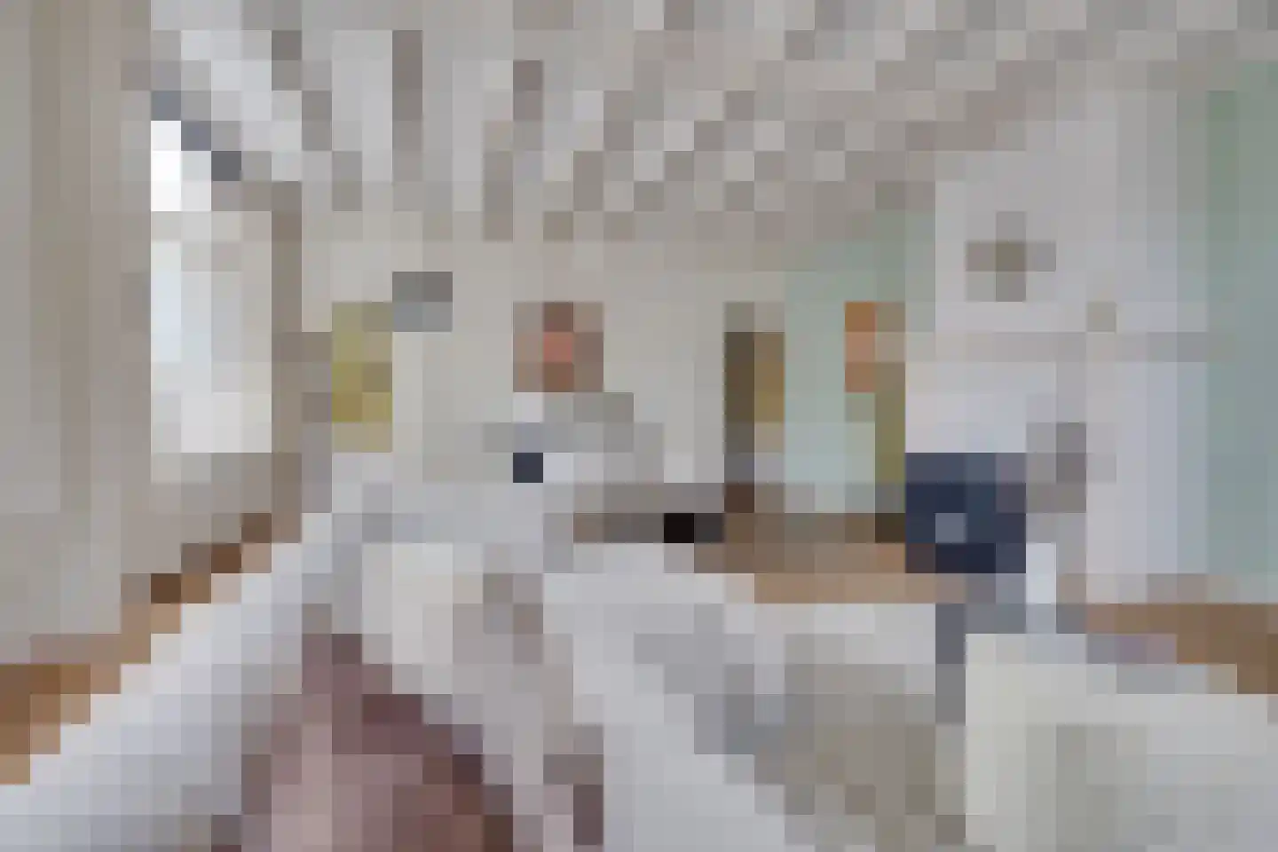 Bankstraat 23 Utrecht thumbnail 8