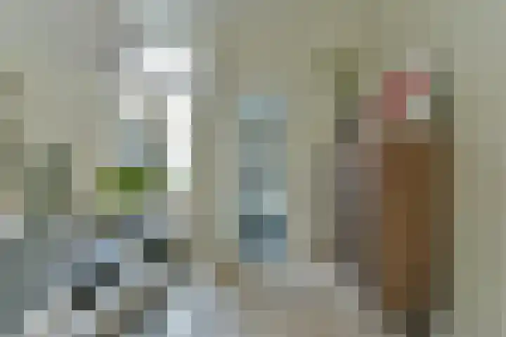 Bankstraat 7 Utrecht thumbnail 10