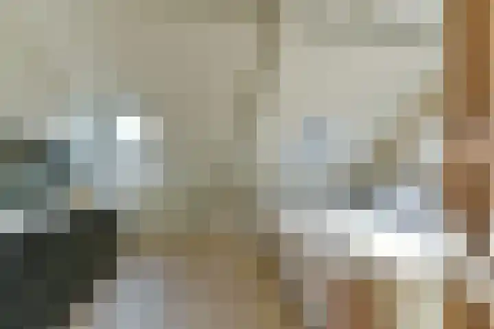 Bankstraat 7 Utrecht thumbnail 18