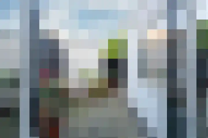 Bankstraat 7 Utrecht thumbnail 30