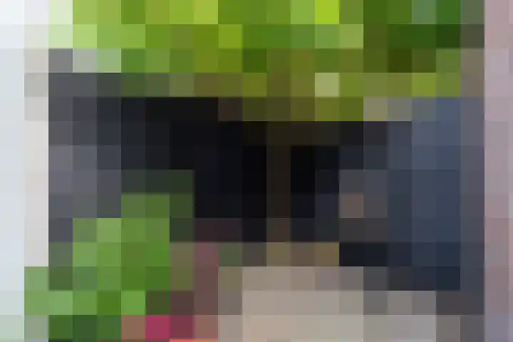 Bankstraat 7 Utrecht thumbnail 33