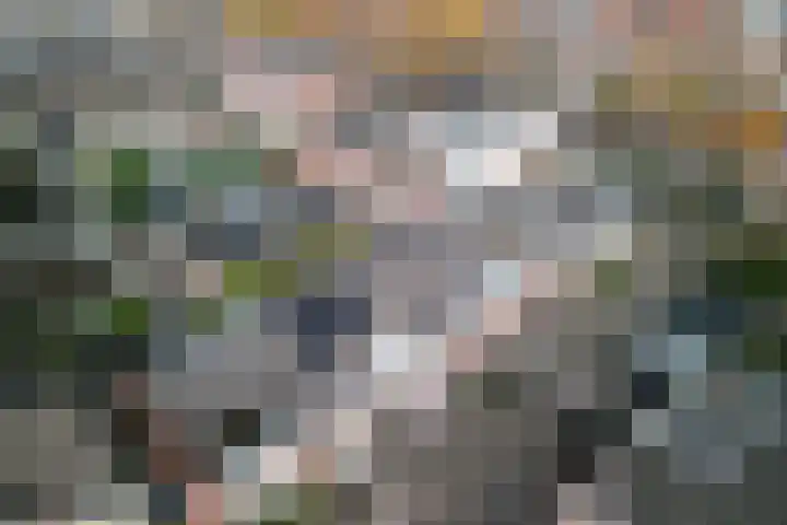 Bankstraat 7 Utrecht thumbnail 36