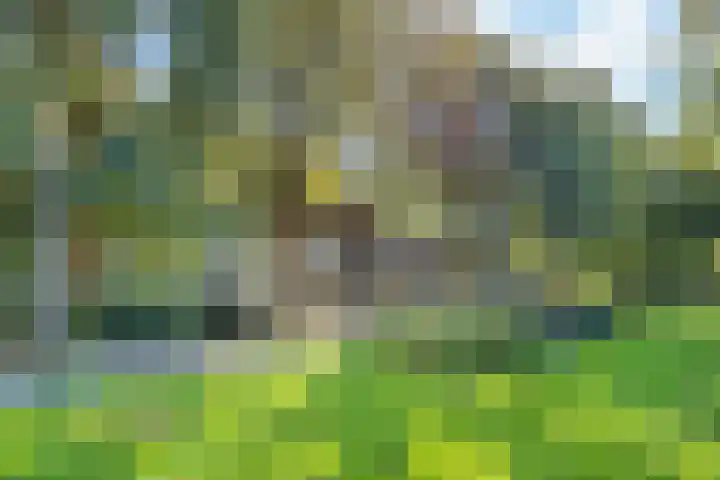 Bankstraat 7 Utrecht thumbnail 38