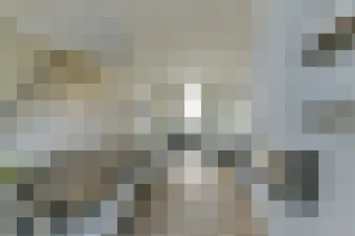 Bankstraat 7 Utrecht thumbnail 6