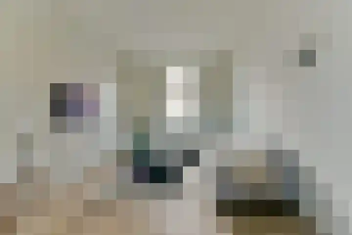 Bankstraat 7 Utrecht thumbnail 7
