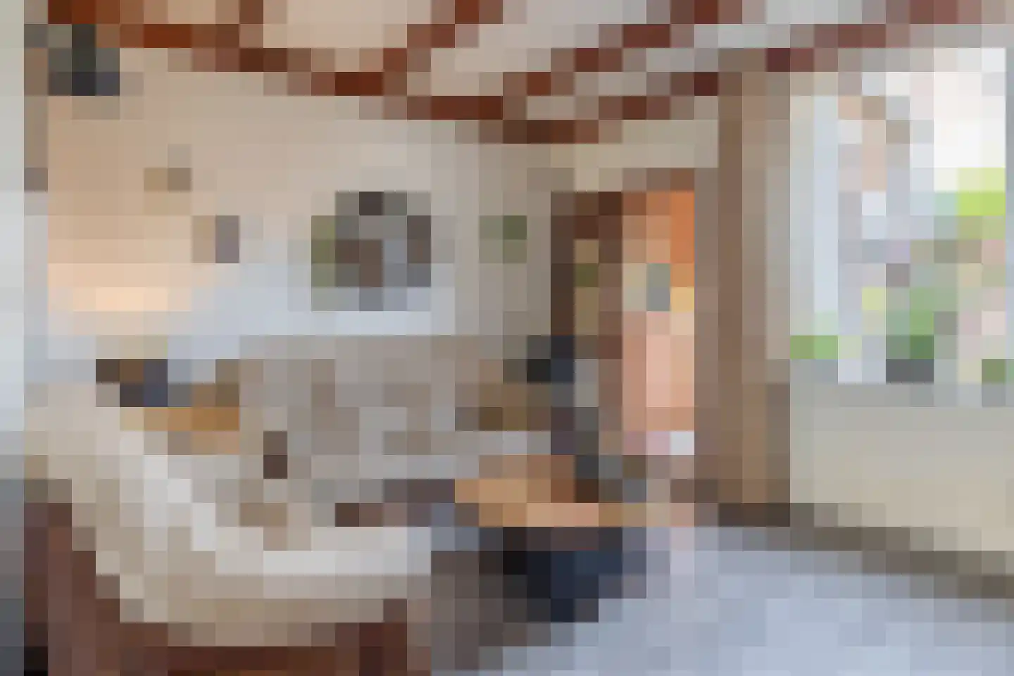 Bankstraat 9 Utrecht thumbnail 10