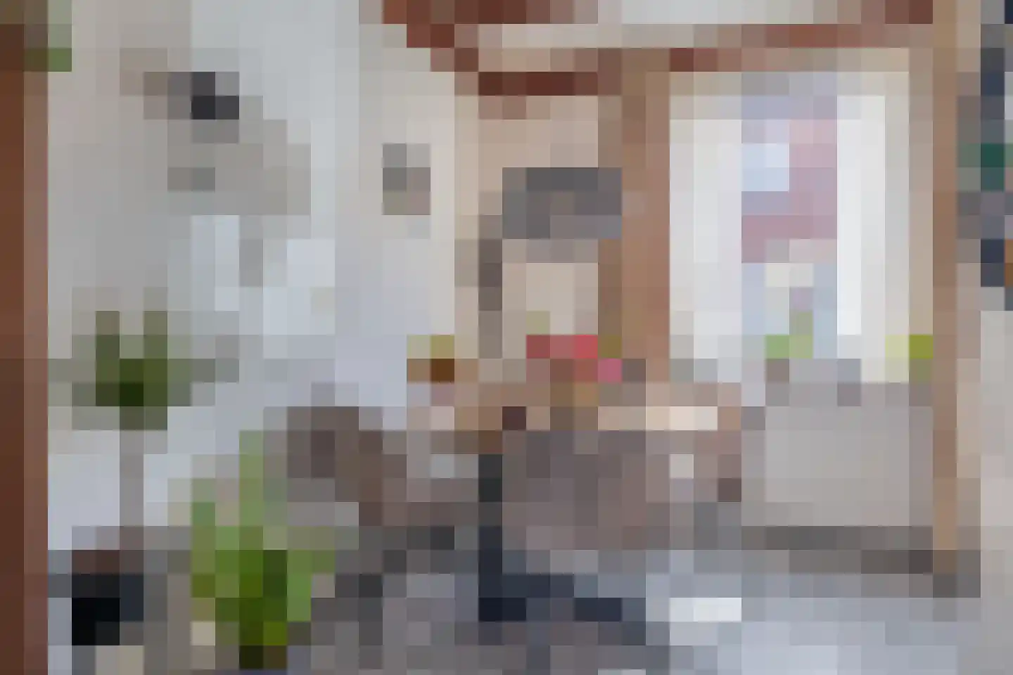 Bankstraat 9 Utrecht thumbnail 13