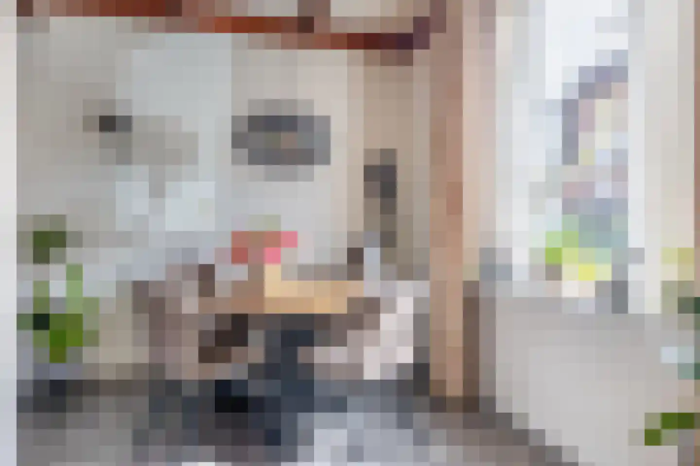 Bankstraat 9 Utrecht thumbnail 14