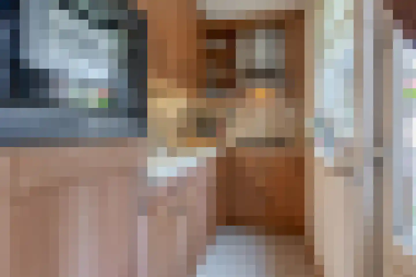 Bankstraat 9 Utrecht thumbnail 15