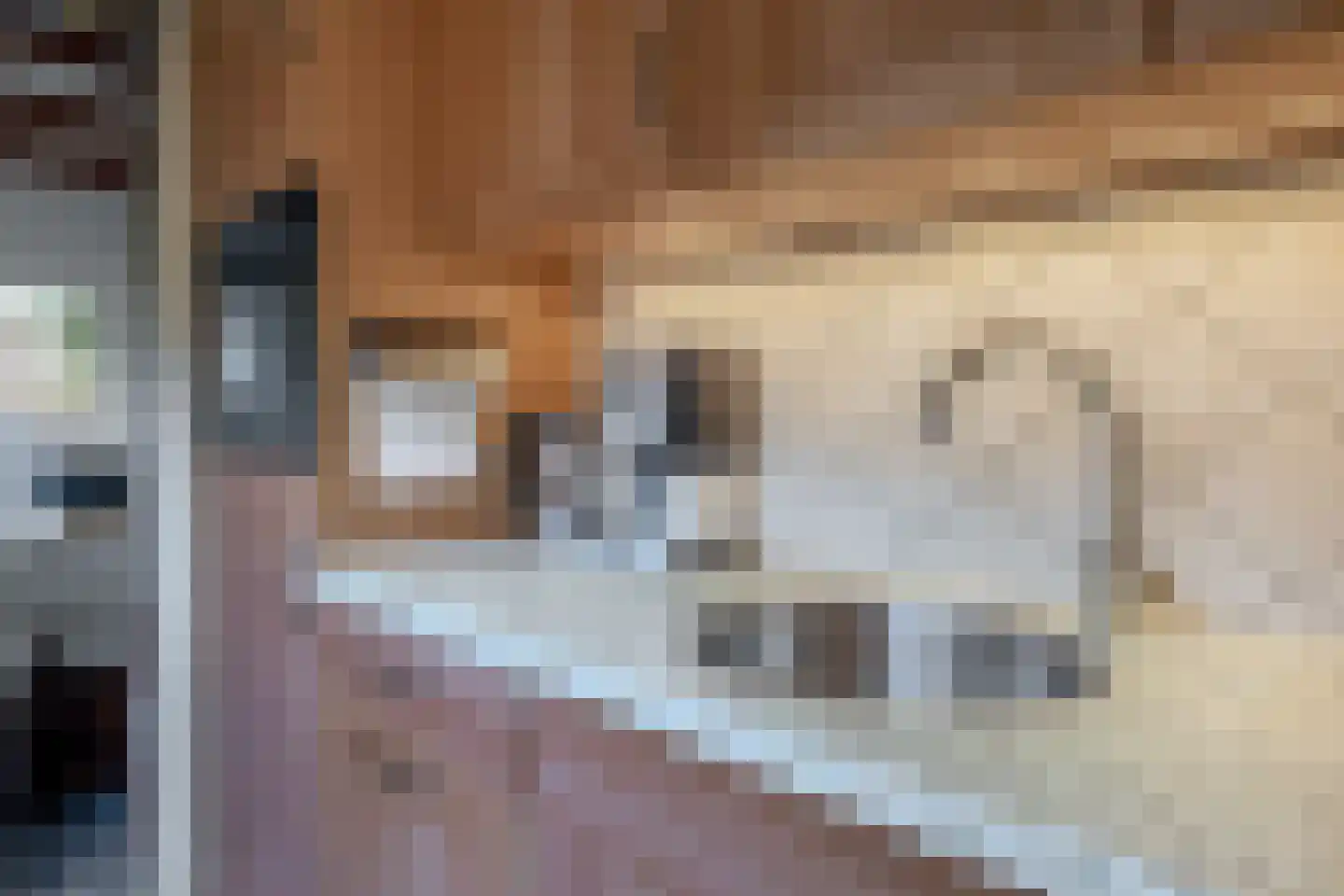 Bankstraat 9 Utrecht thumbnail 16