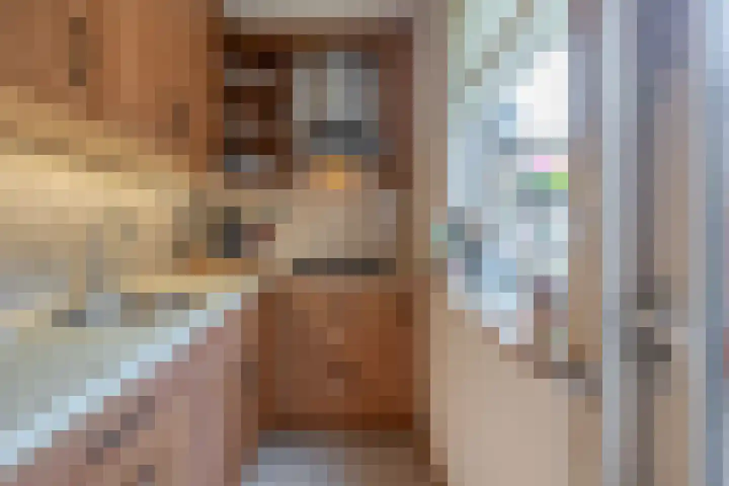 Bankstraat 9 Utrecht thumbnail 17