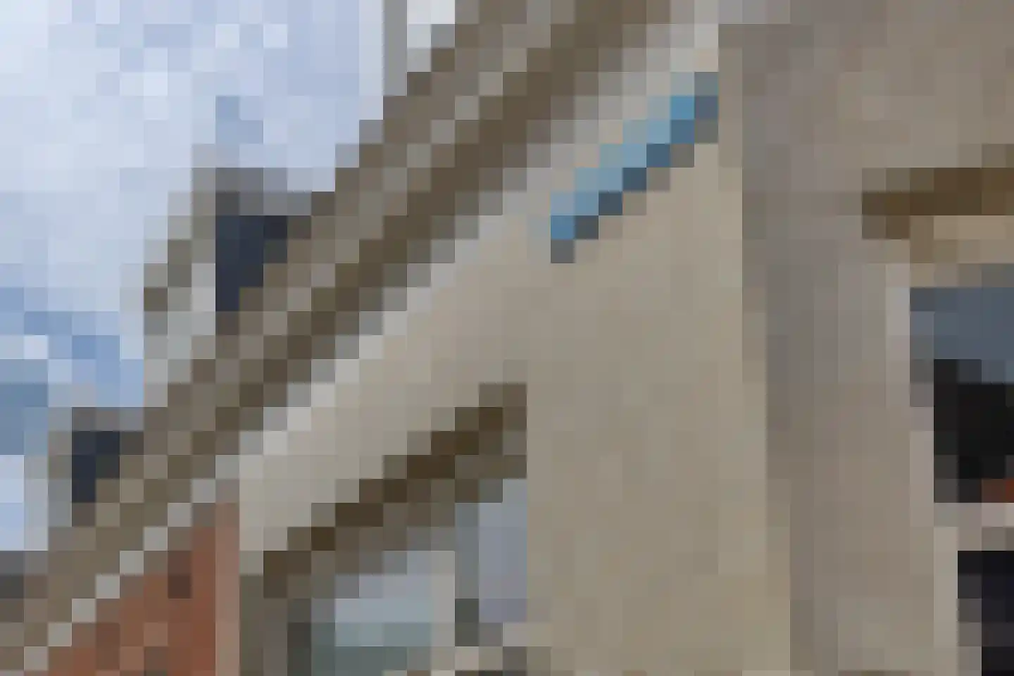 Bankstraat 9 Utrecht thumbnail 33