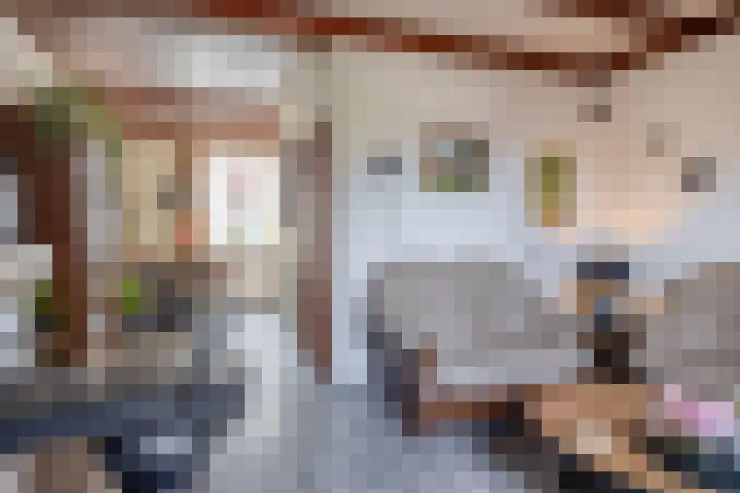 Bankstraat 9 Utrecht thumbnail 9