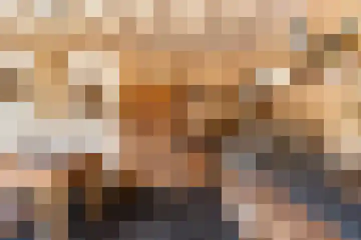 Bankven 3 Goirle thumbnail 34