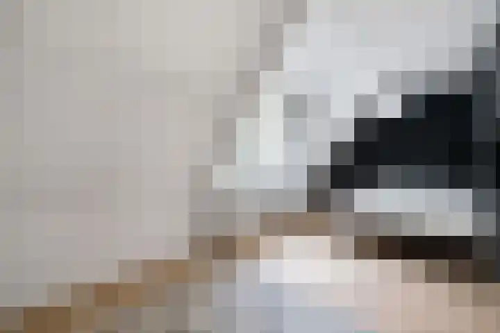 Bankven 37 Goirle thumbnail 12