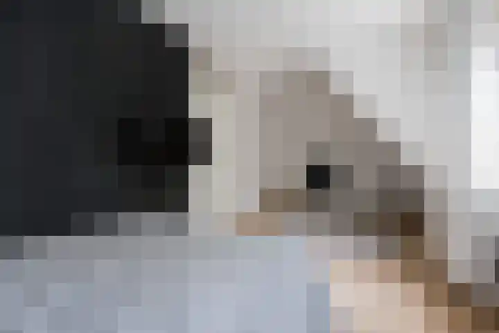Bankven 37 Goirle thumbnail 14
