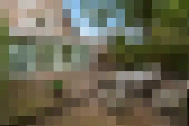 Bankven 37 Goirle thumbnail 21