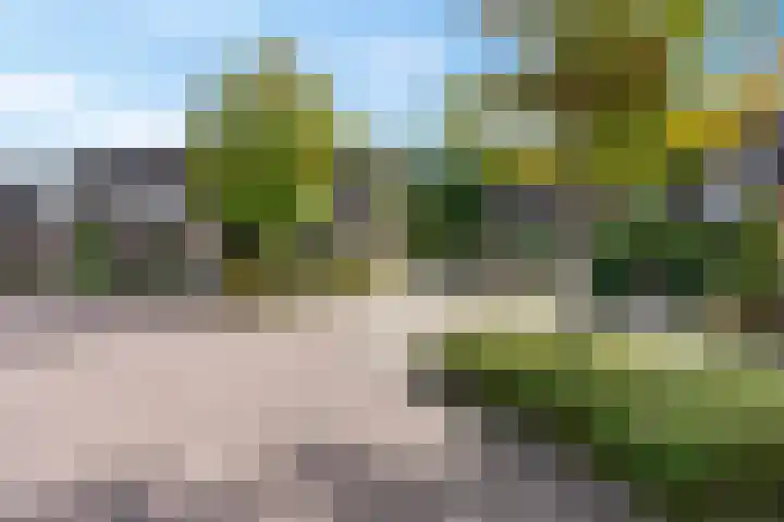 Bankven 37 Goirle thumbnail 22