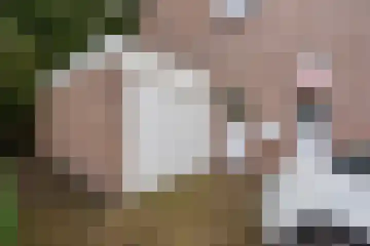 Bankven 37 Goirle thumbnail 24