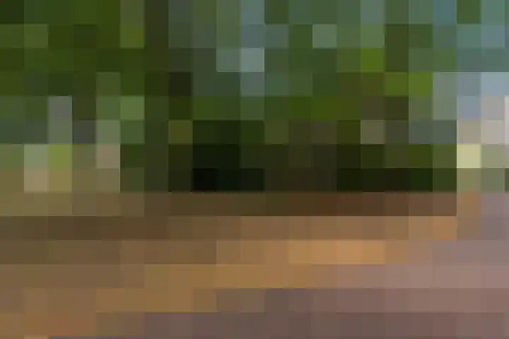 Bankven 37 Goirle thumbnail 28