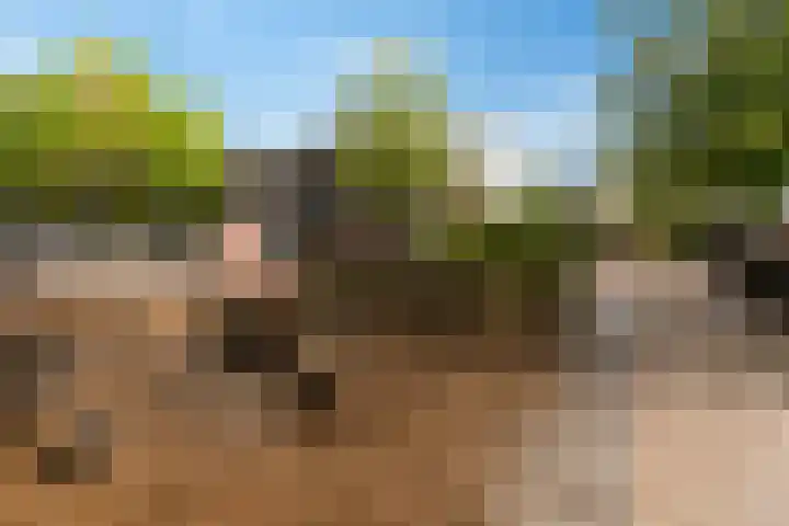 Bankven 37 Goirle thumbnail 29